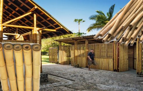 Bamboo - A Greener Home Building Material