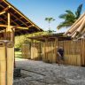 Bamboo – A Greener Home Building Material