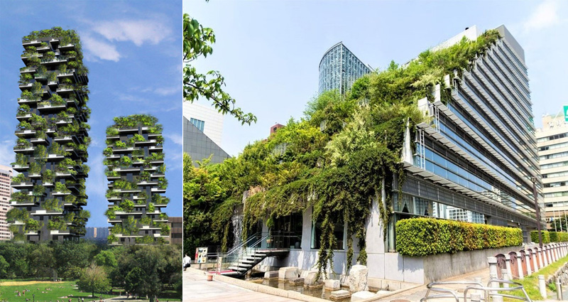 Green Architecture Examples – How to Find Great Ideas