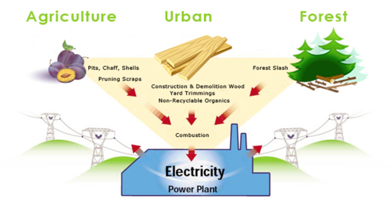 Advantages and Disadvantages of Biomass As Renewable Energy Sources