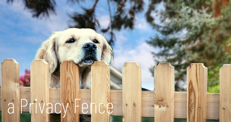 3 Tips for Choosing a Privacy Fence