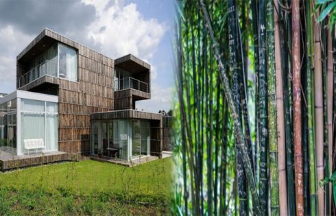 Building Materials for an Eco- Conscious Home