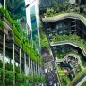 Green Architecture Characteristics