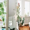 Creating Zero-Waste and Eco-Conscious Living Spaces